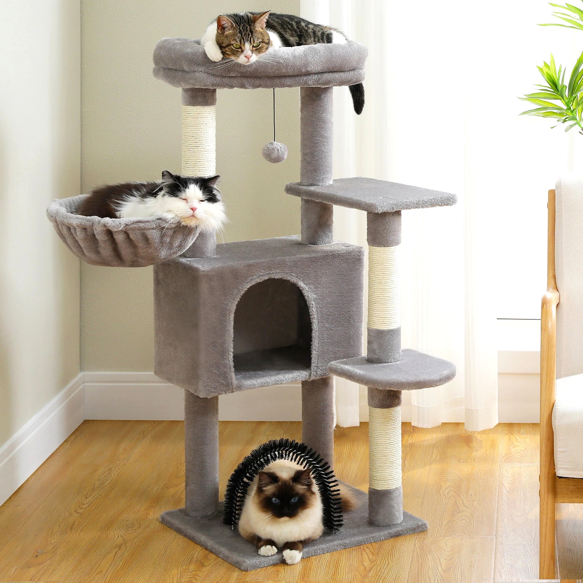 Cat Condo